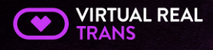 virtualrealtrans